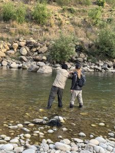 fly fishing